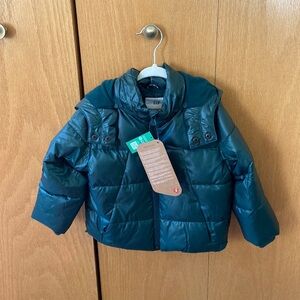 Green Puffer Outdoor Toddler Jacket